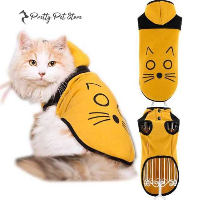 cat apparel store
