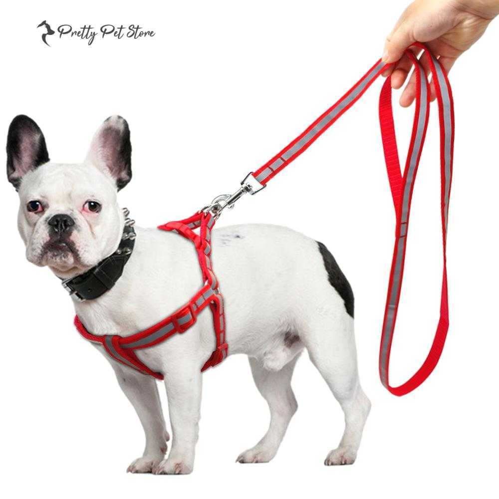 Nylon Reflective Harness for Small Dogs Collars, Harnesses & Leashes Dogs 